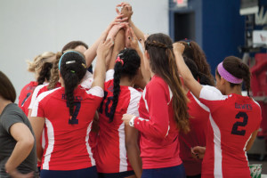 Lady Hawks are Suncoast champions
