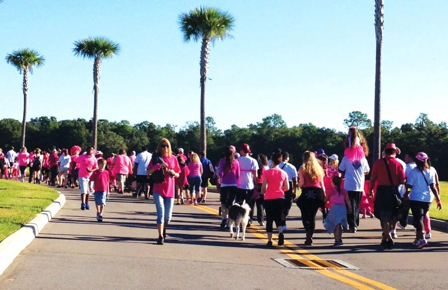 Walking warriors raising awareness in Wesley Chapel.