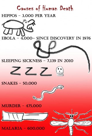Ebola comes to America