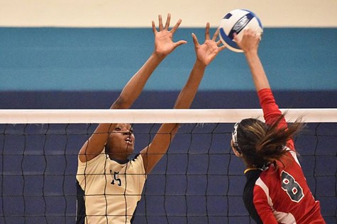 Lady Hawks Reclaim Gold