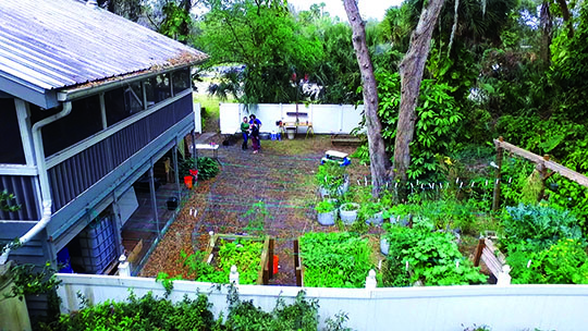 Alafia Farms is the home of HCC Ybor Professor Paul Rabuat that helps teach sustainability. The 
farm is located in Riverview, Florida.