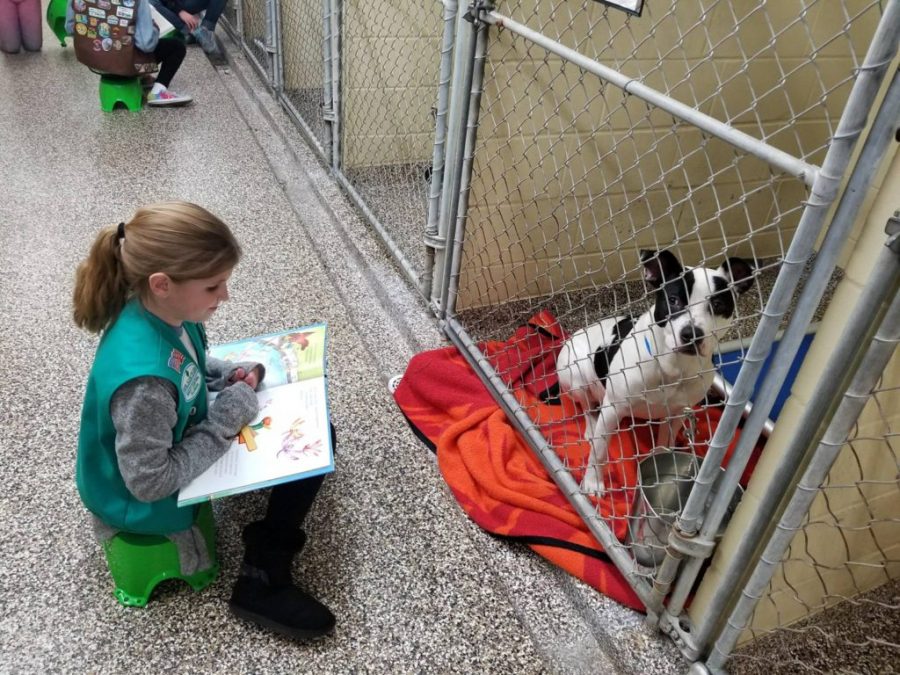 Scouting volunteers read books to dogs to help them socialize.