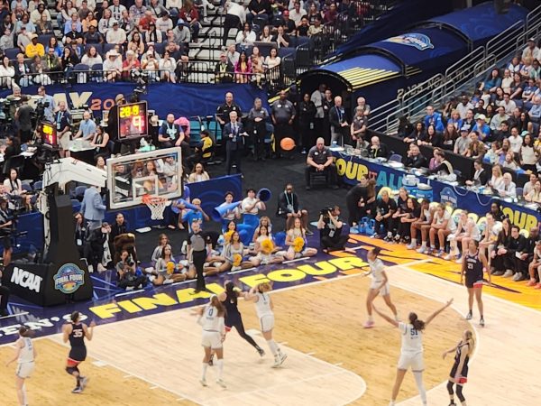 UConn Huskies crowned champs in Tampa
