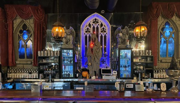 Beyond the buzz: Tampa Bay’s kava bar scene is rewriting the rules of social drinking